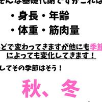 画像254