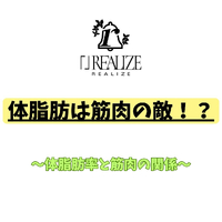 画像491